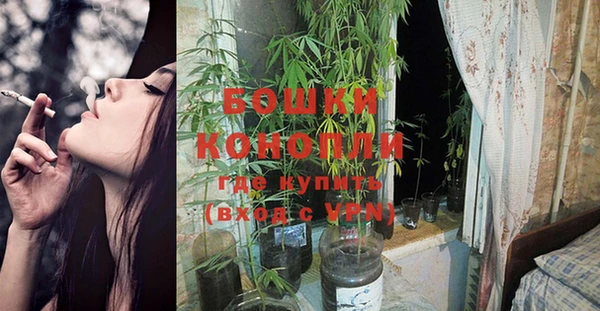 прущие крисы Абинск